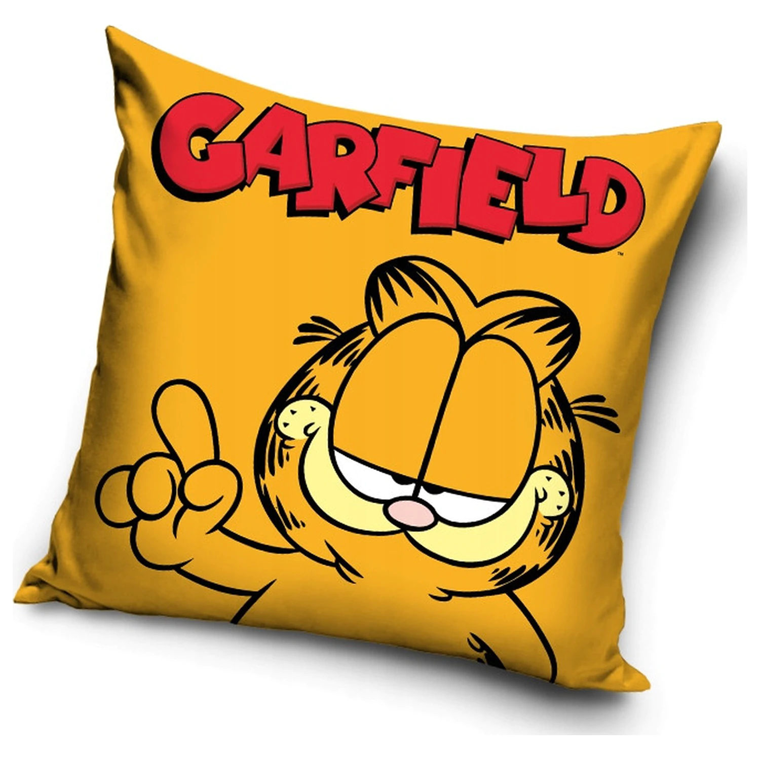 Garfield Day Pillowcase product photo