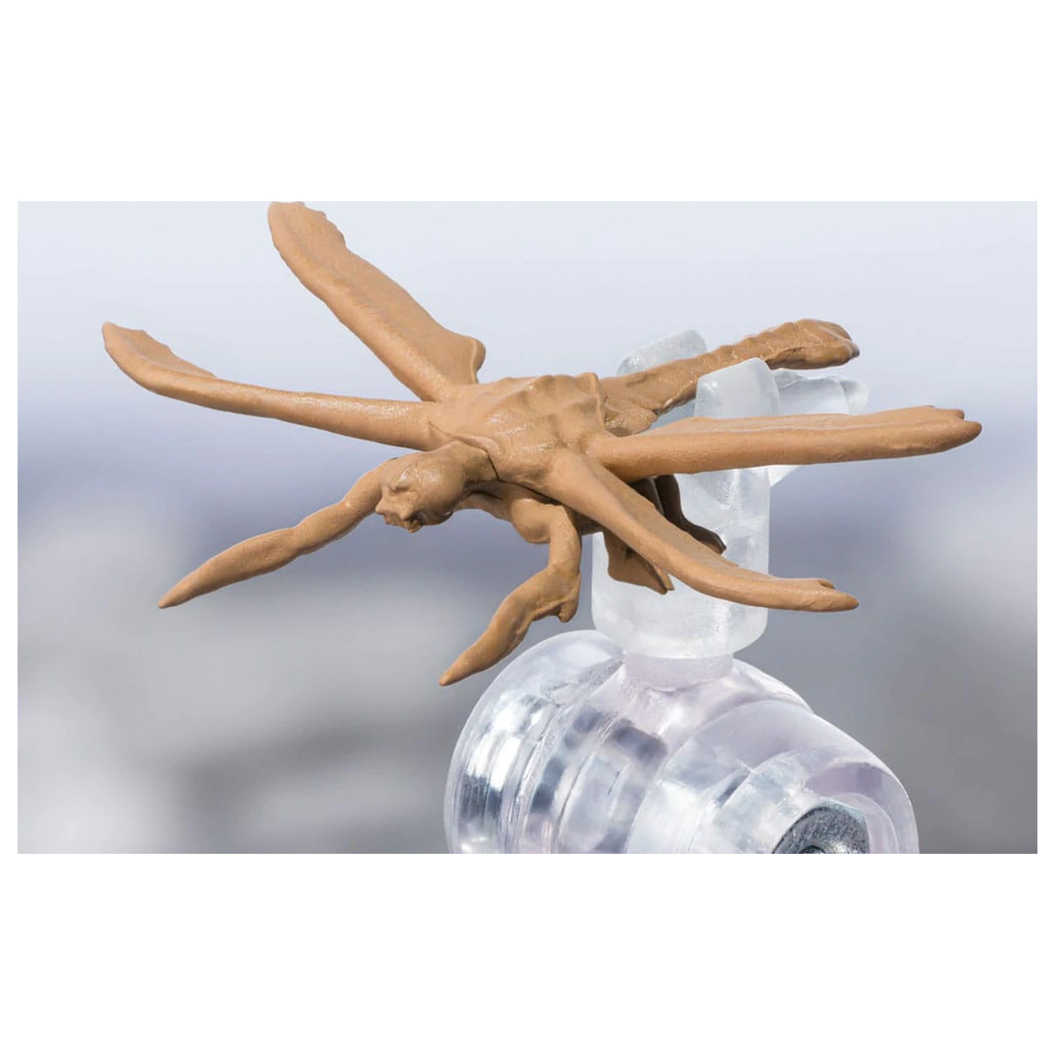 Godzilla S.H. Monster Arts Action Figure Megaguirus Evolution Set 21 cm    product photo