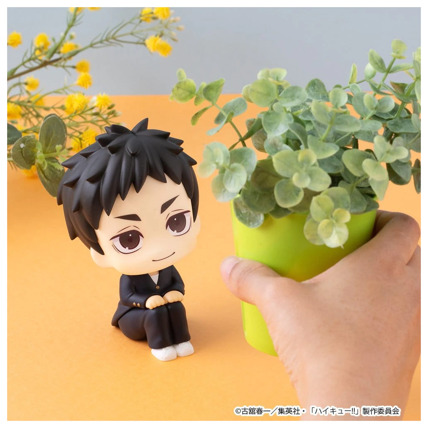 Haikyu!! Look Up PVC Figures 2-Pack Daichi Sawamura & Koushi Sugawara 11 cm (with gift) product photo