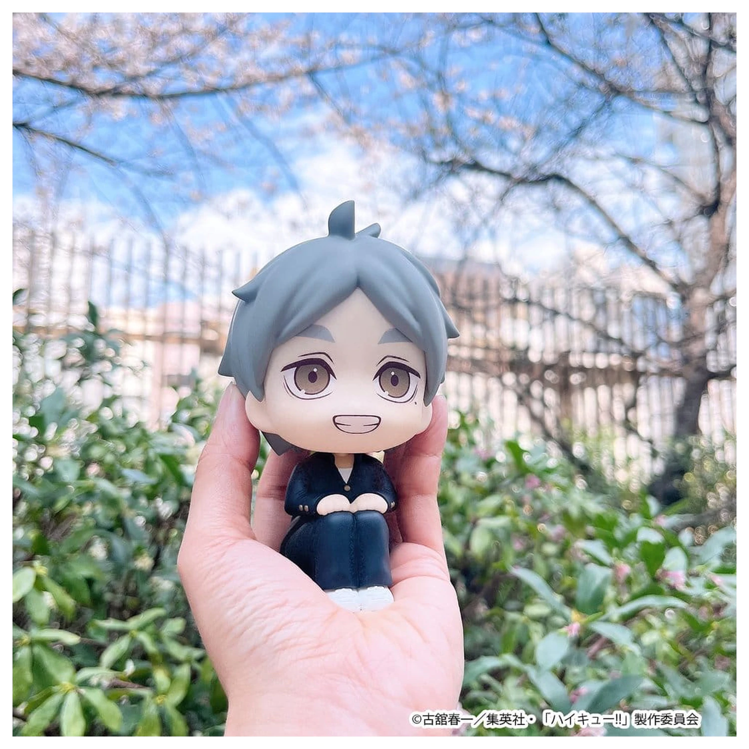 Haikyu!! Look Up PVC Figure Koushi Sugawara 11 cm product photo