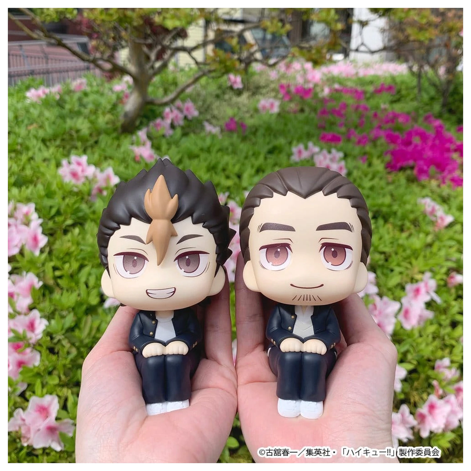Haikyu!! Look Up PVC Figures 2-Pack Yu Nishinoya & Asahi Azumane 11 cm (with gift) product photo