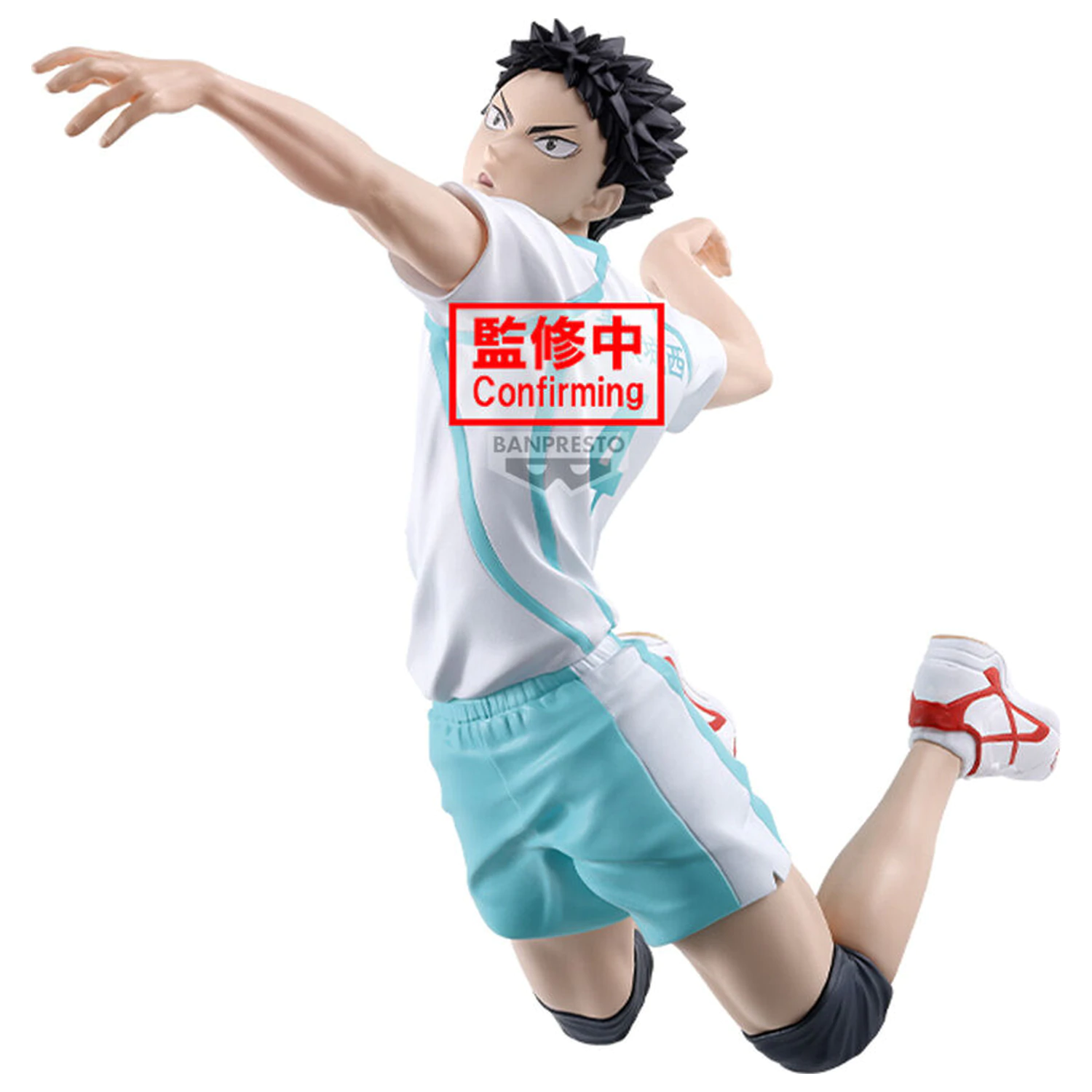 Haikyu!! Posing Figure Hajime Iwaizumi figure 15cm product photo