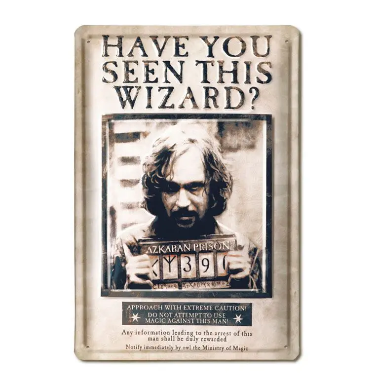 Harry Potter 3D Tin Sign Have You Seen This Wizard 20 x 30 cm product photo