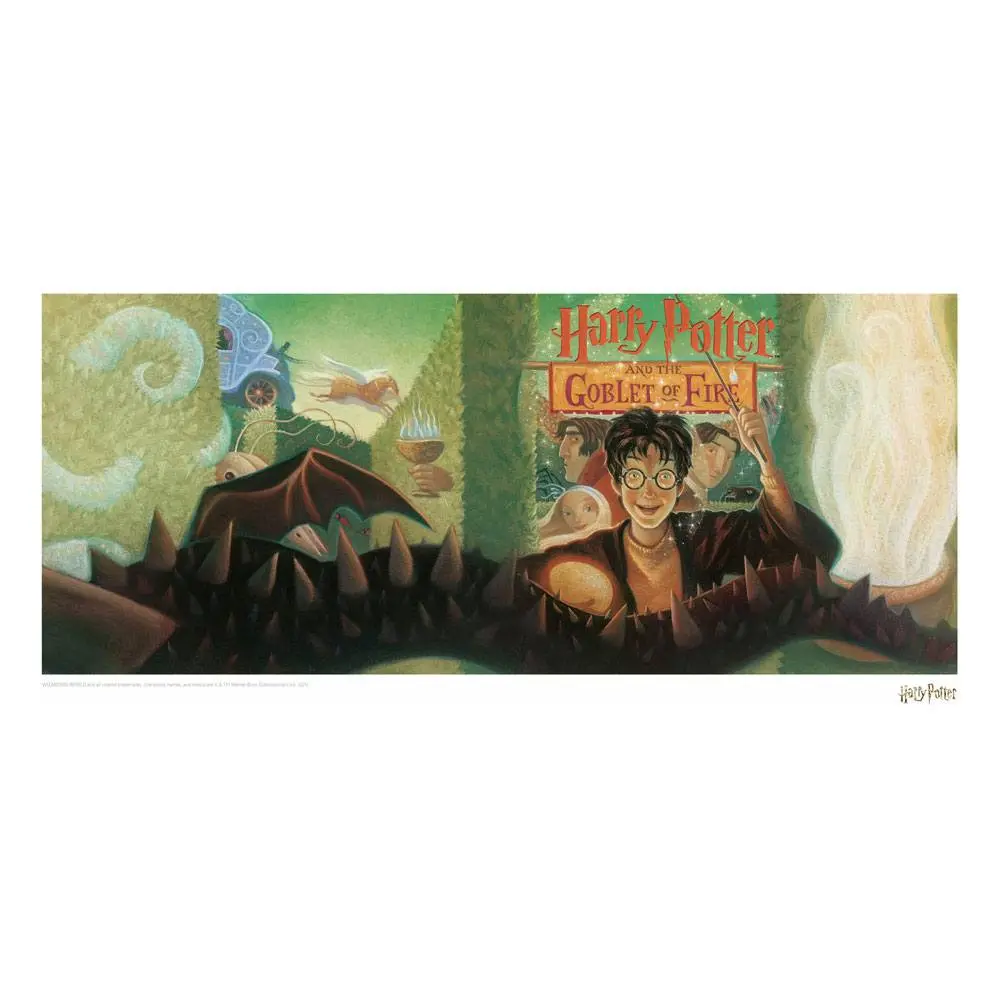 Harry Potter Art Print Goblet of Fire Book Cover Artwork Limited Edition 42 x 30 cm product photo