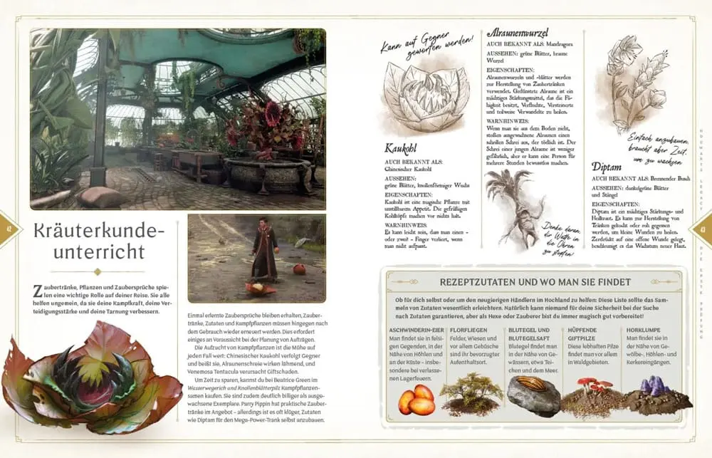 Harry Potter Book Hogwarts Legacy - Der offizielle Guide zum Spiel *German Version* product photo