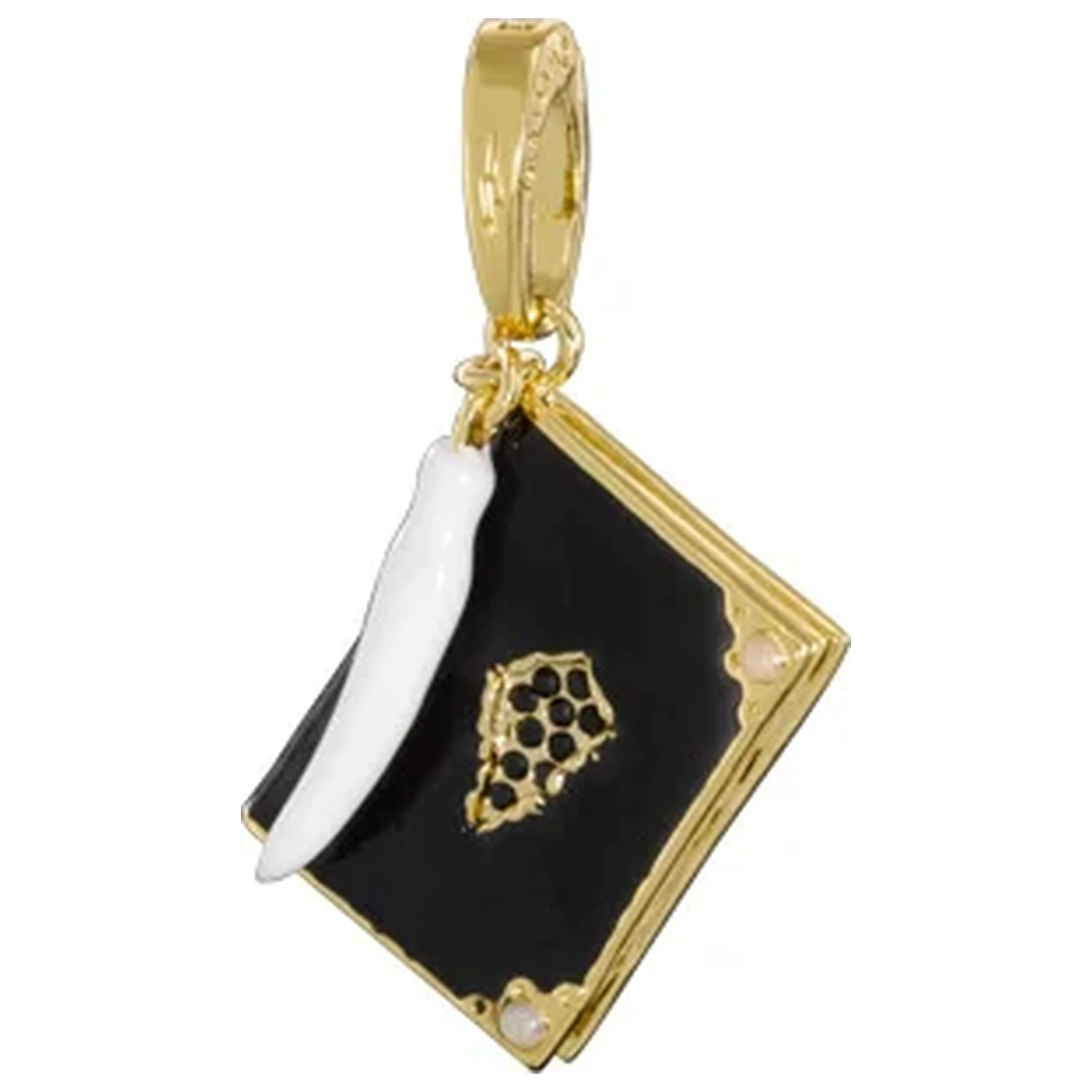 Harry Potter Charm Lumos 11 Tom Riddle's Diary product photo