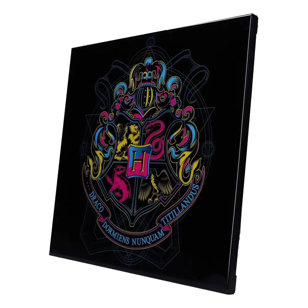 Harry Potter Crystal Clear Picture Hogwarts Darkness Falls 32 x 32 cm product photo