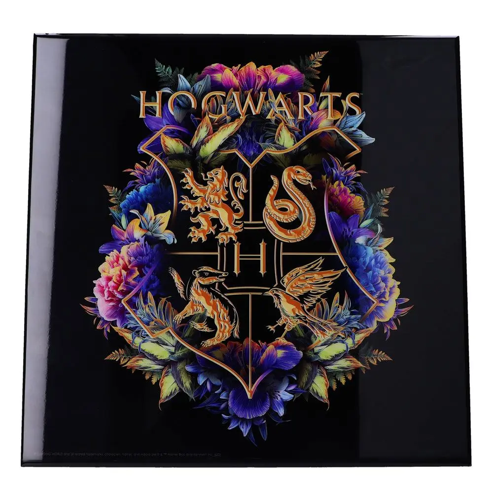 Harry Potter Crystal Clear Picture Hogwarts Fine Oddities 32 x 32 cm product photo