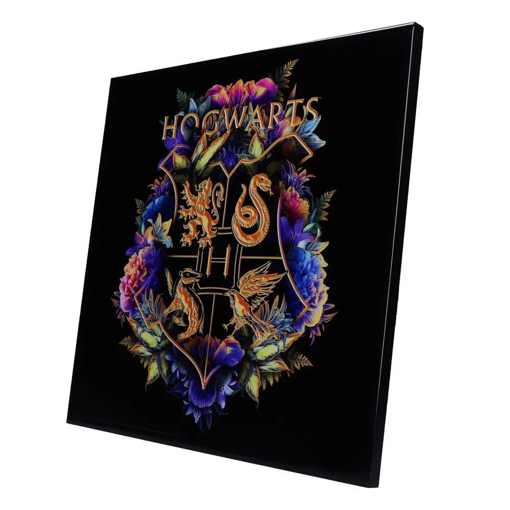 Harry Potter Crystal Clear Picture Hogwarts Fine Oddities 32 x 32 cm product photo