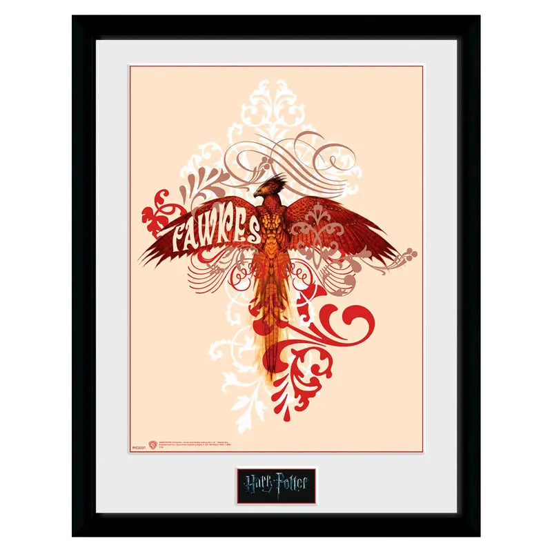 Harry Potter Fawkes Framed Photo product photo
