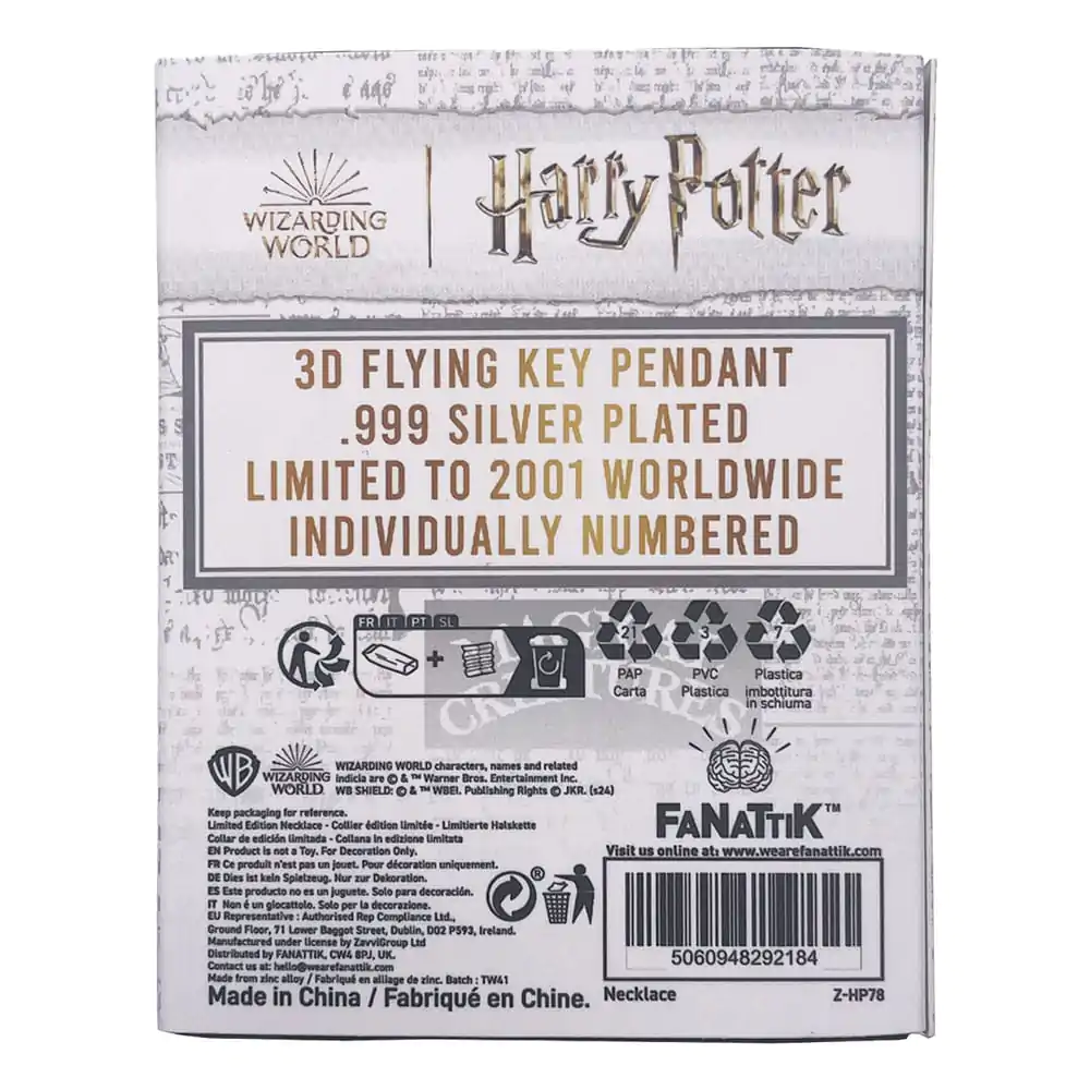 Harry Potter Necklace with Pendant Flying Key termékfotó