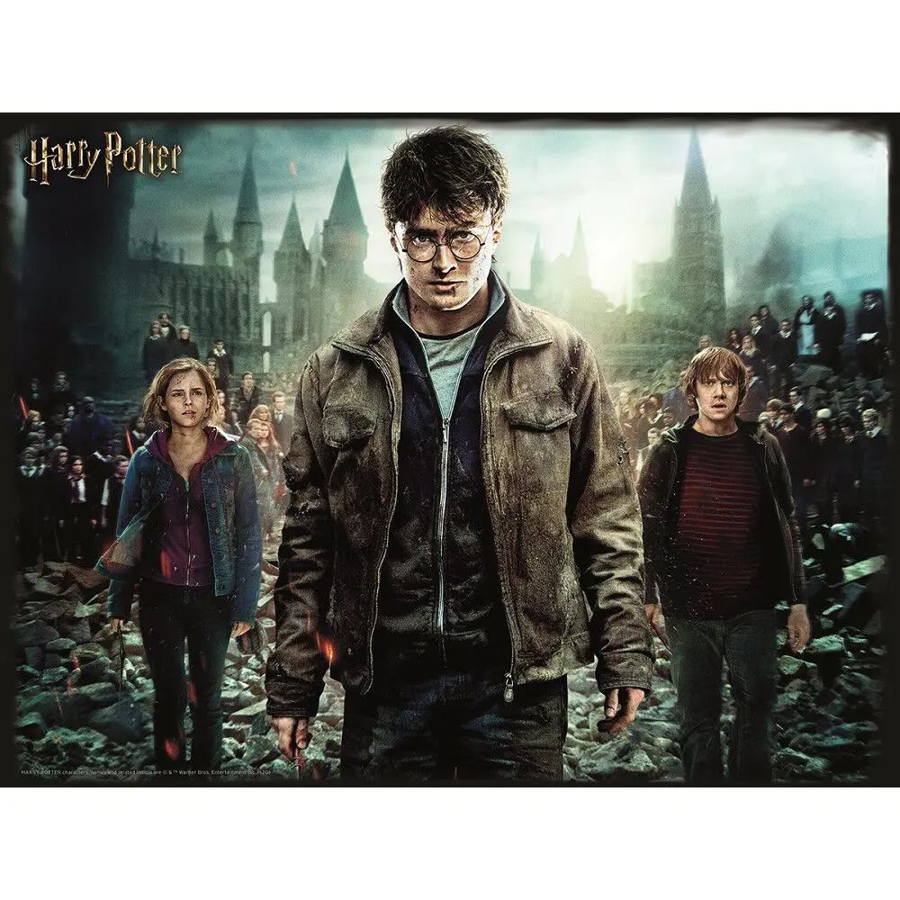 Harry Potter Harry Hermione and Ron Prime 3D puzzle 300pcs product photo