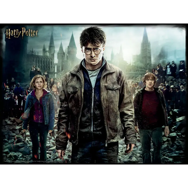 Harry Potter Harry Hermione and Ron Prime 3D puzzle 500pcs product photo
