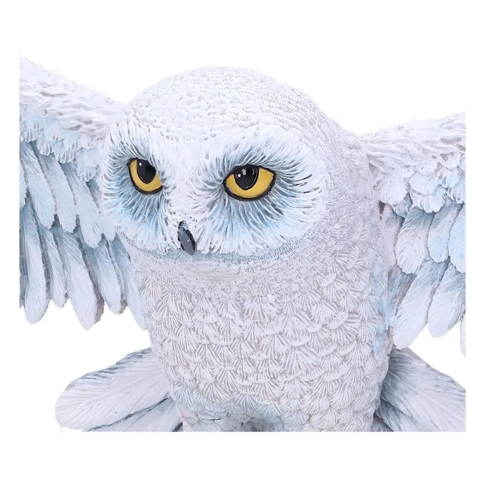 Harry Potter Wall Plaque Hedwig 45 cm termékfotó