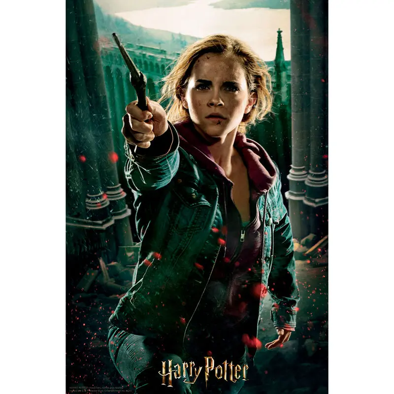 Harry Potter Hermione Prime 3D puzzle 300pcs product photo