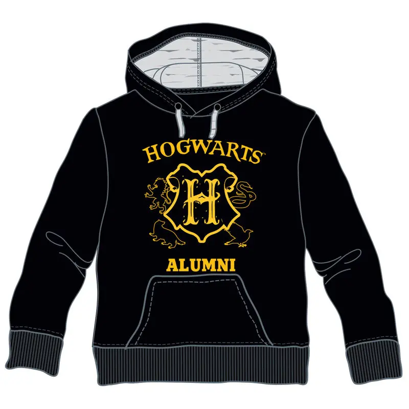 Harry Potter Hogwarts Alumni kids hoodie termékfotó