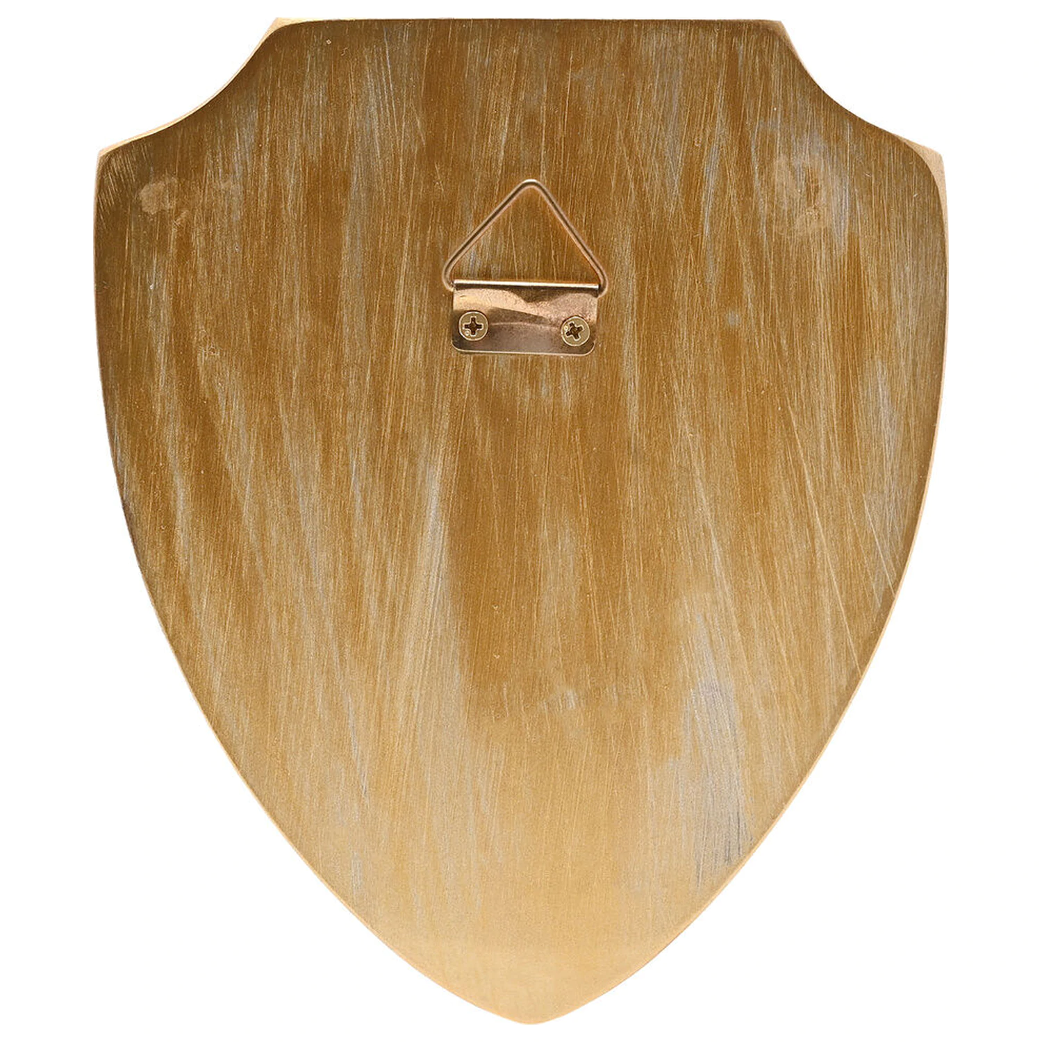 Harry Potter Hogwarts Crest 3D wall shield product photo