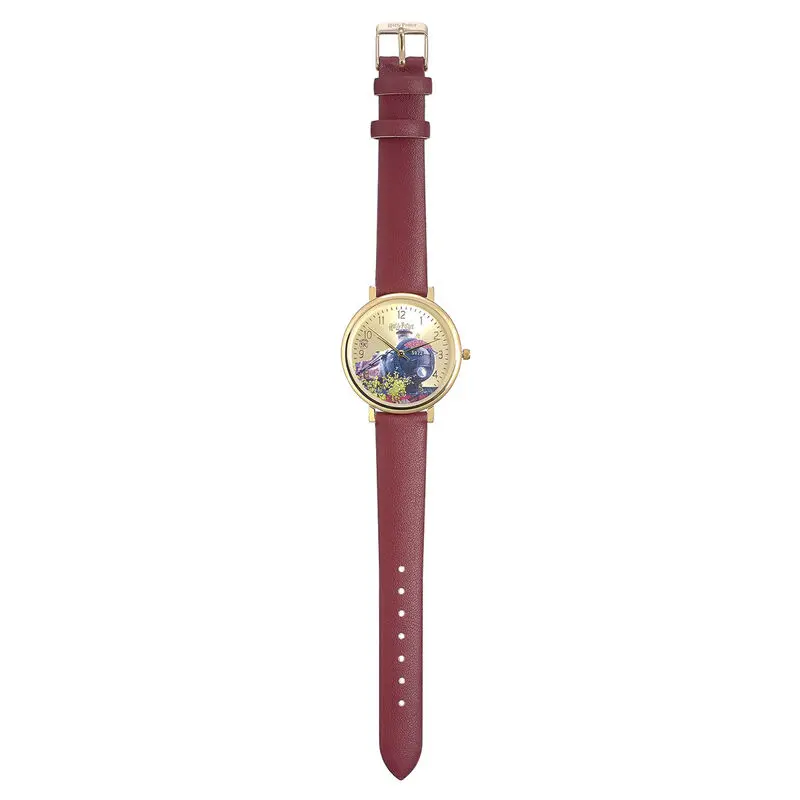 Harry Potter Hogwarts Express watch product photo