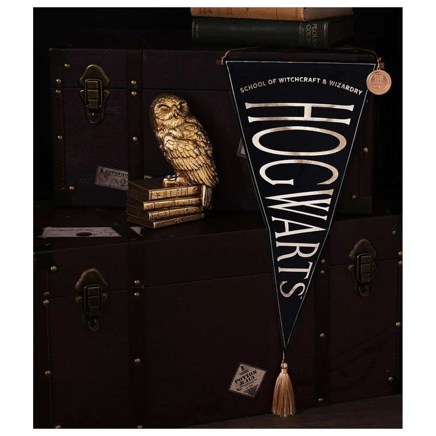 Harry Potter Hogwarts hanging banner product photo