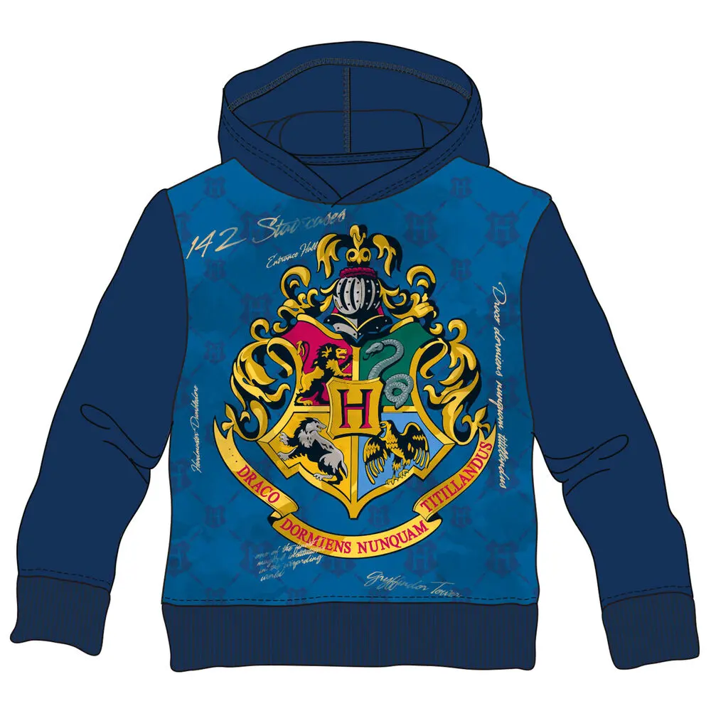 Harry Potter Hogwarts kids hoodie termékfotó