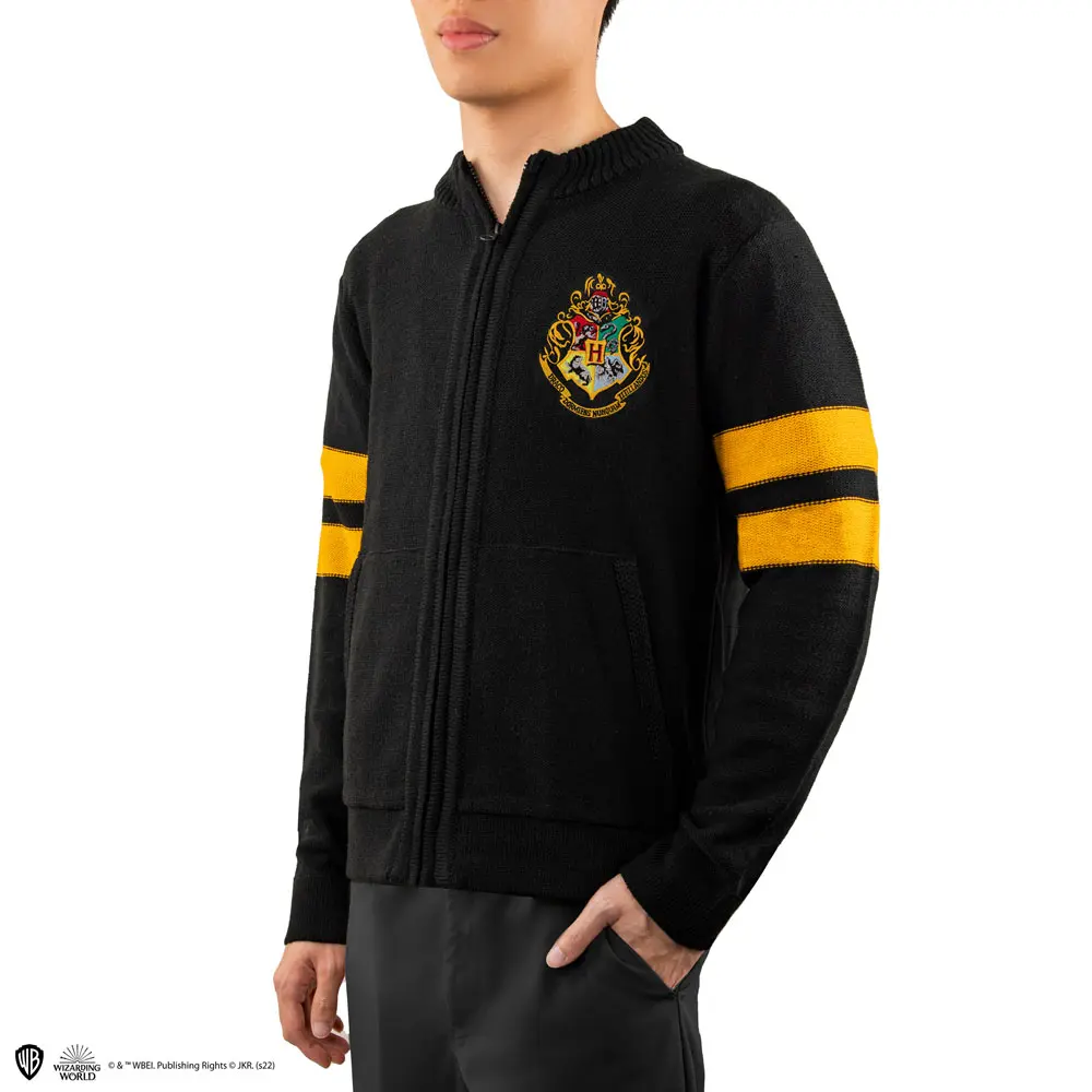 Harry Potter Hogwarts hoodie product photo