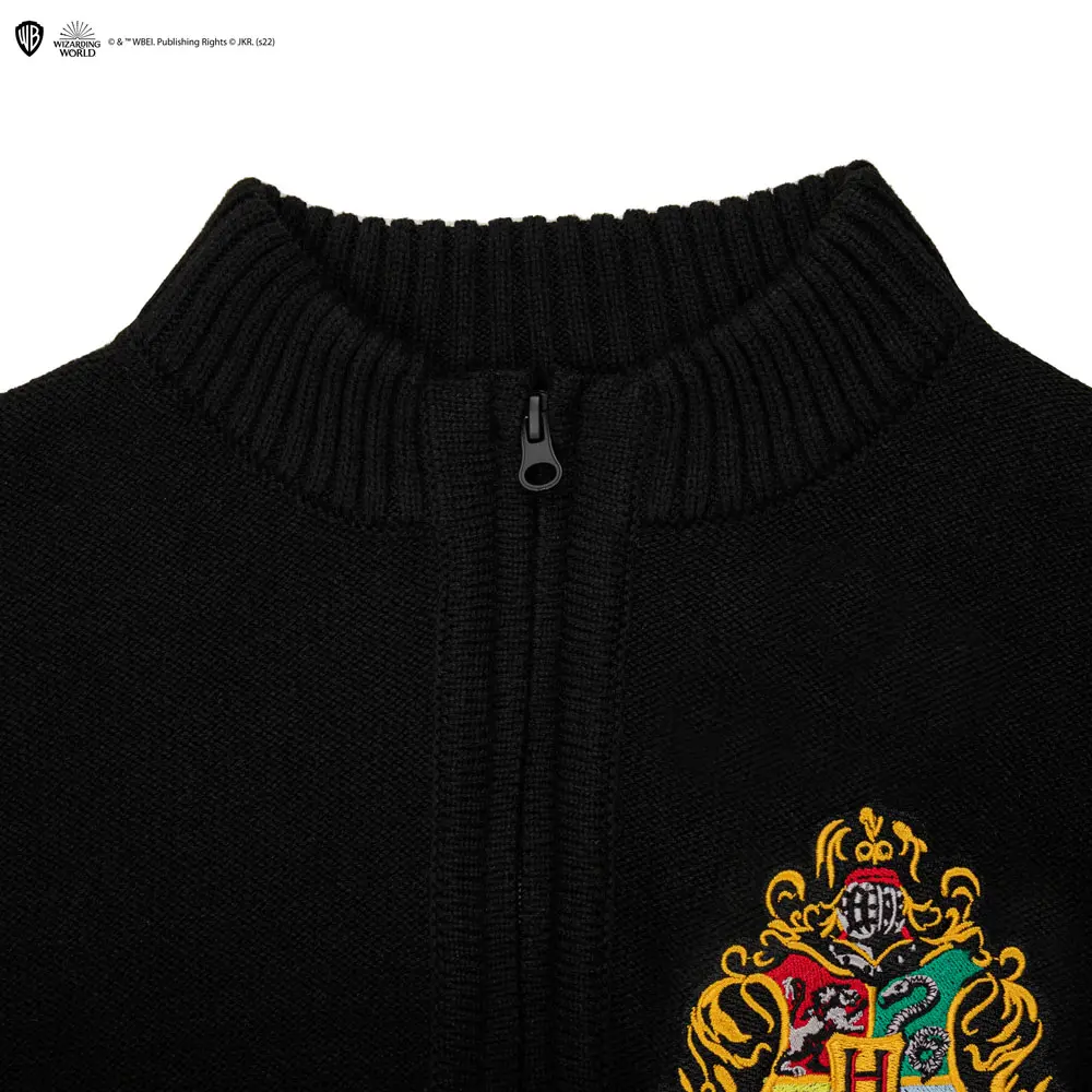 Harry Potter Hogwarts hoodie product photo