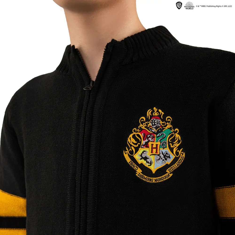 Harry Potter Hogwarts hoodie product photo