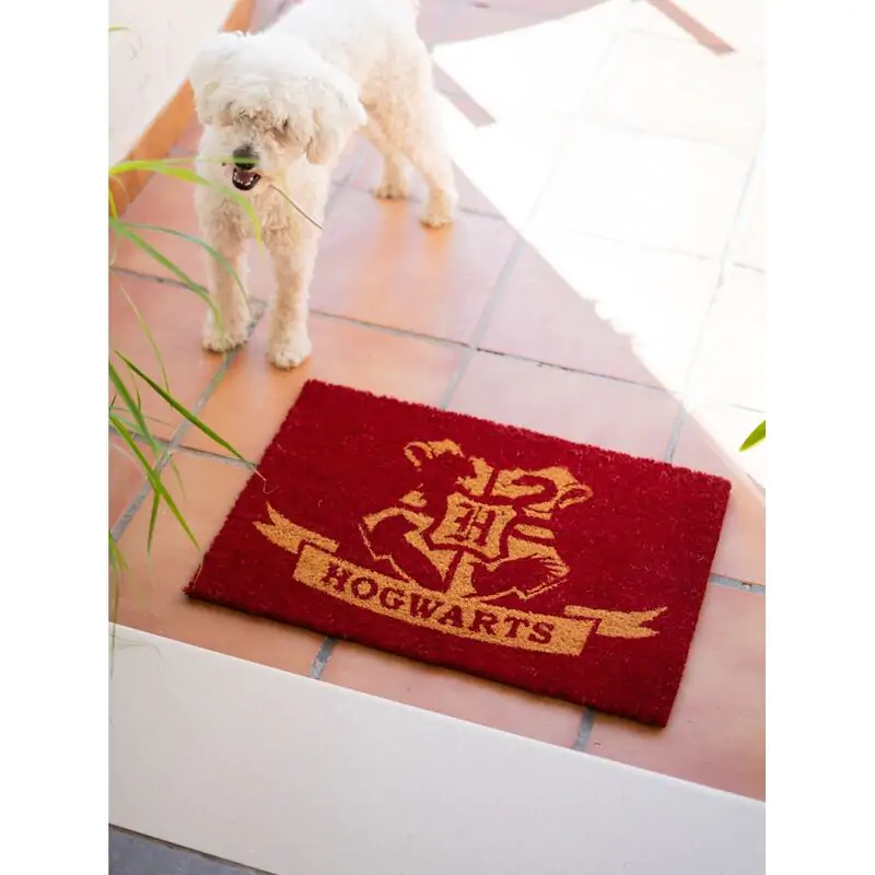 Harry Potter Hogwarts doormat product photo