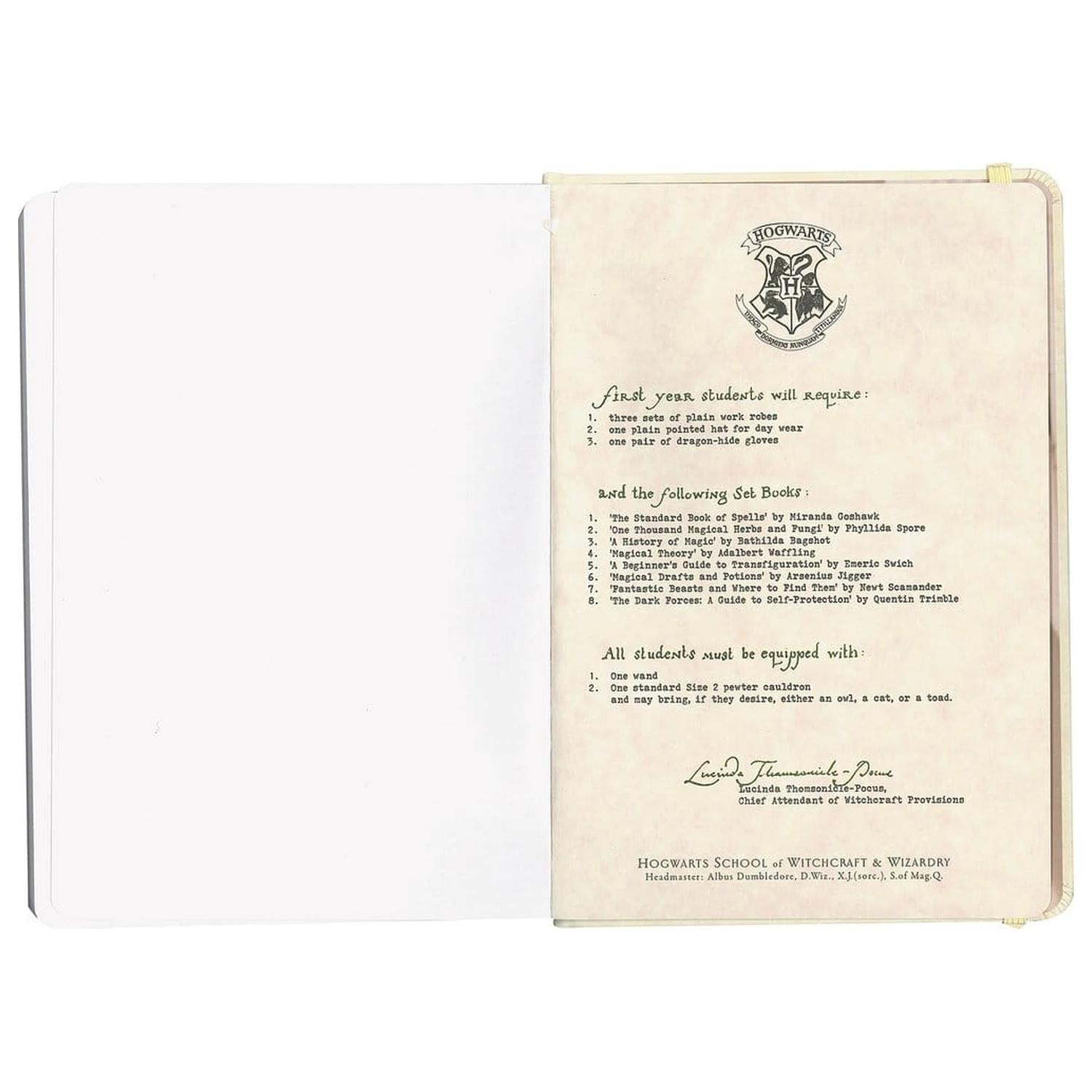 Harry Potter Hardcover Notebook Hogwarts Letter 21 cm product photo