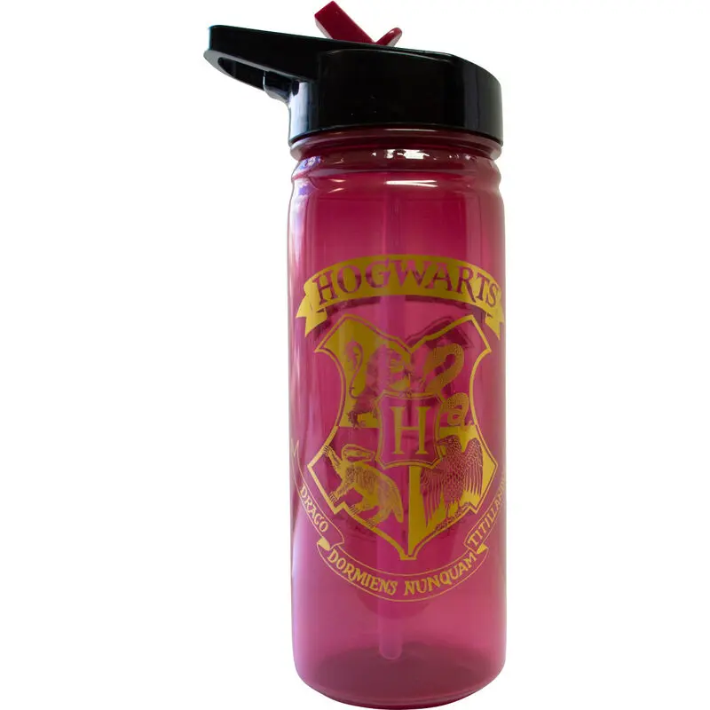 Harry Potter Hogwarts bottle 600ml termékfotó