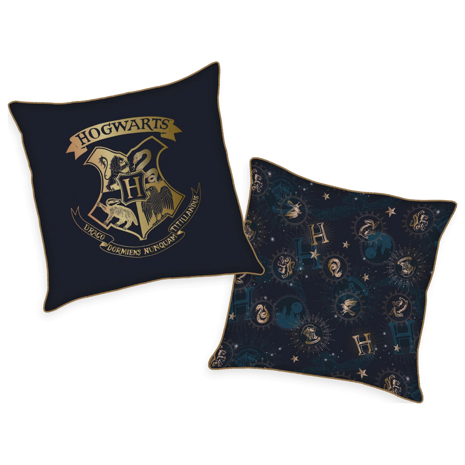 Harry Potter Soft Velboa Pillows Hogwarts 40 x 40 cm product photo
