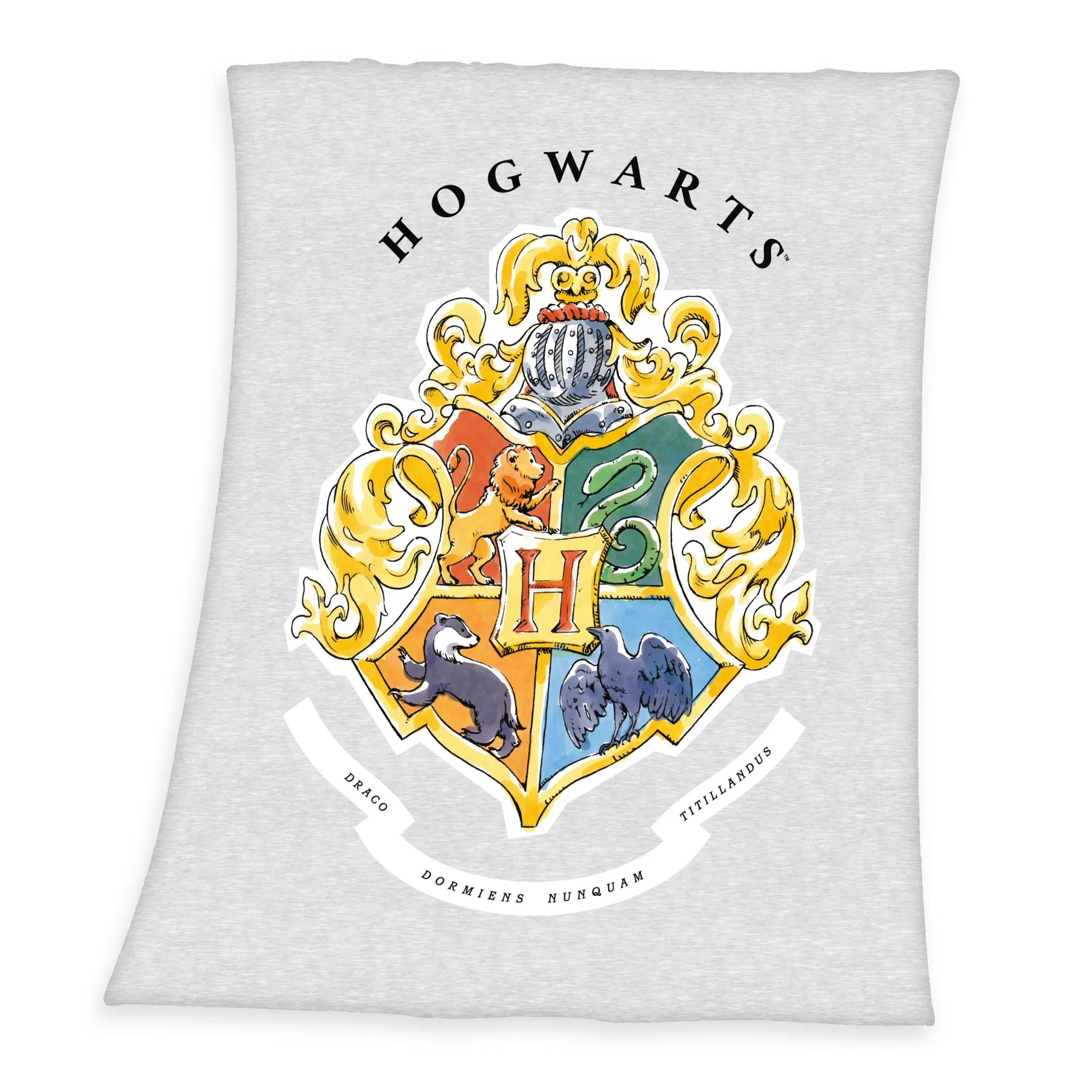 Harry Potter Fleece Blanket Hogwarts 130 x 160 cm product photo