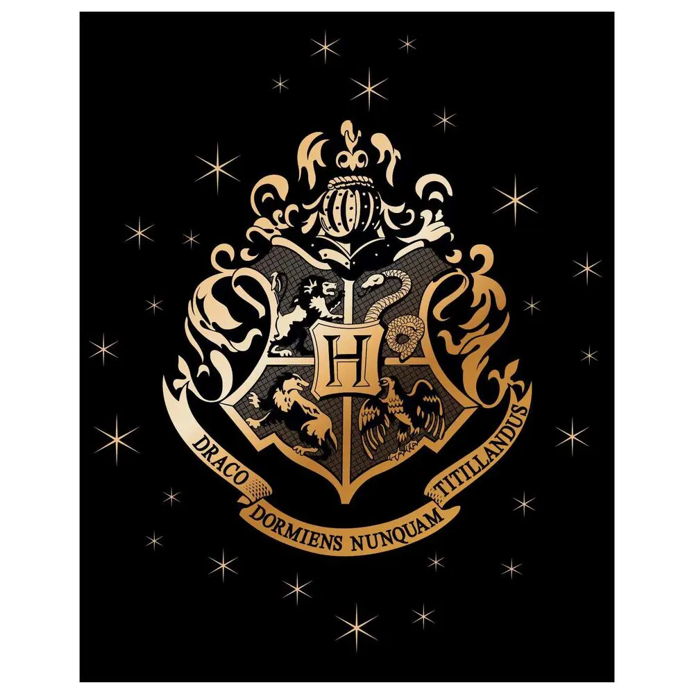 Harry Potter Hogwarts premium coral blanket product photo