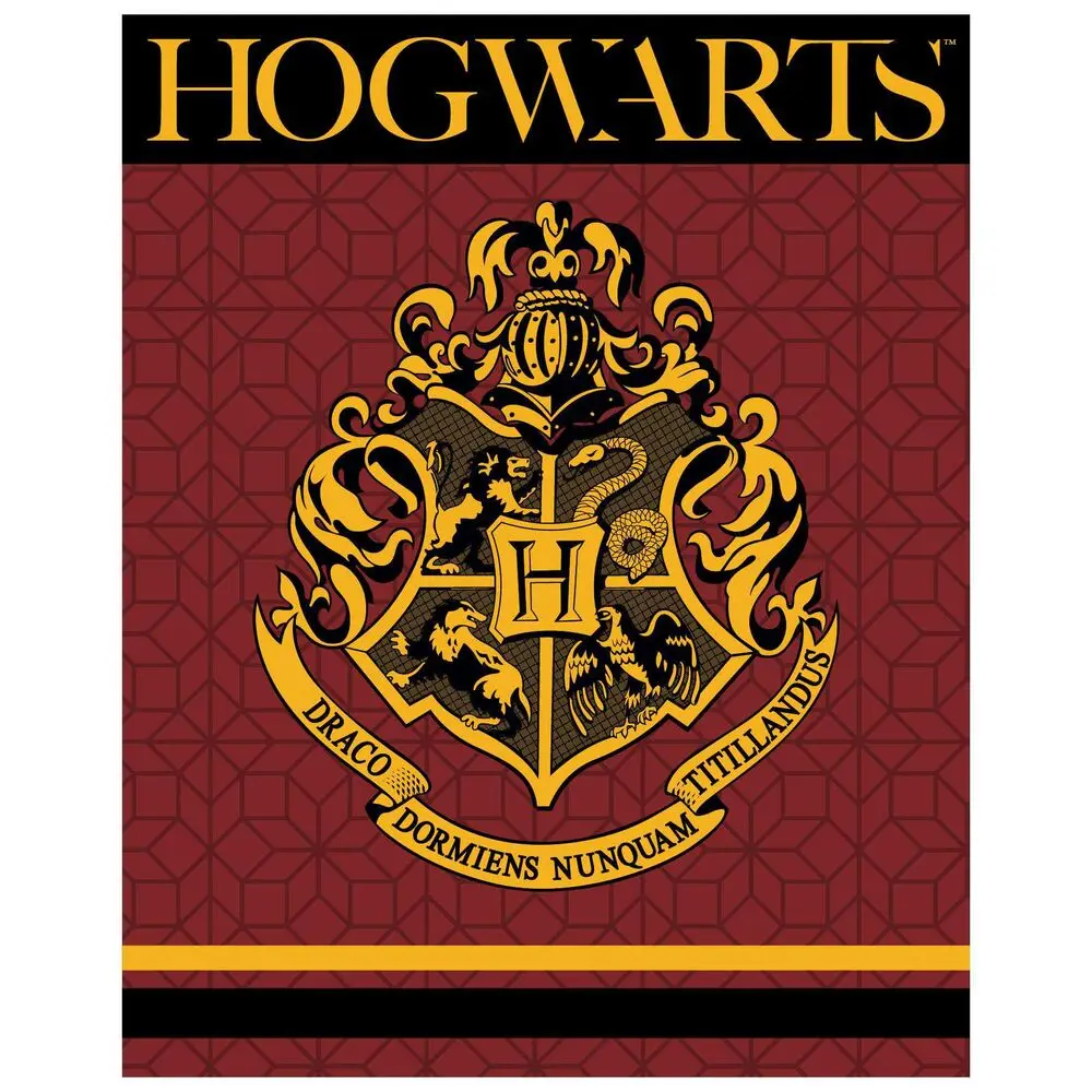 Harry Potter Hogwarts premium coral blanket product photo