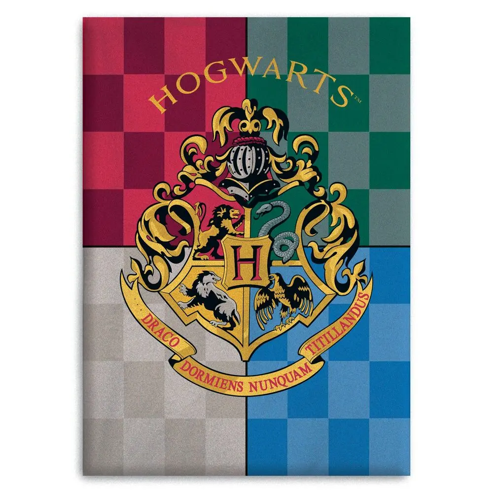 Harry Potter Hogwarts polar blanket product photo