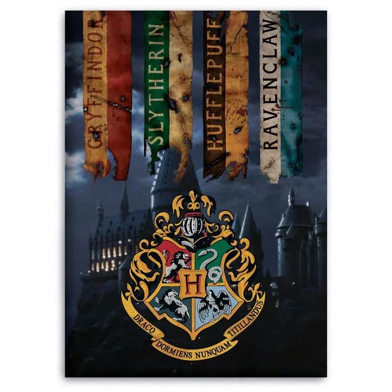 Harry Potter Hogwarts polar blanket product photo