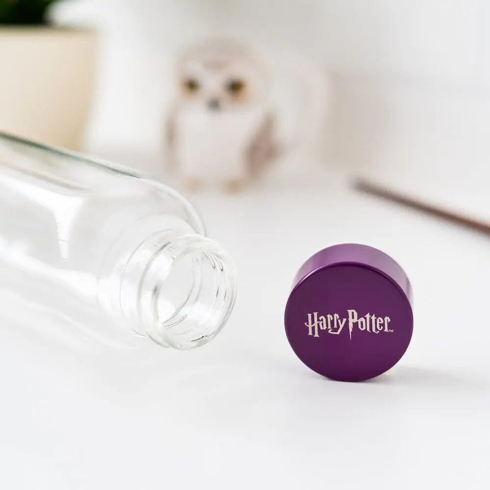 Harry Potter Hogwarts glass bottle 500ml termékfotó