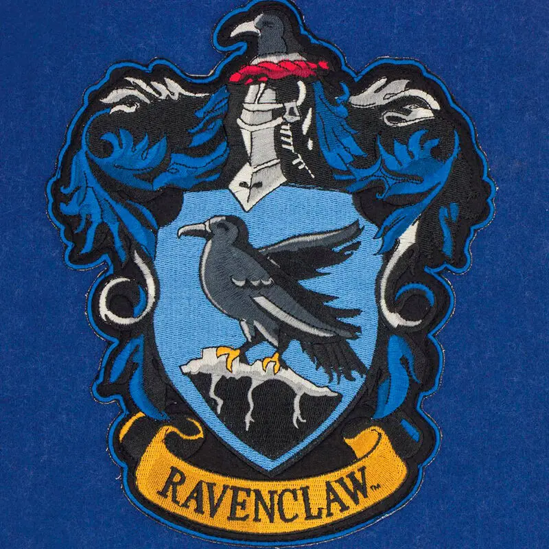 Harry Potter Wall Banner Ravenclaw 30 x 44 cm product photo