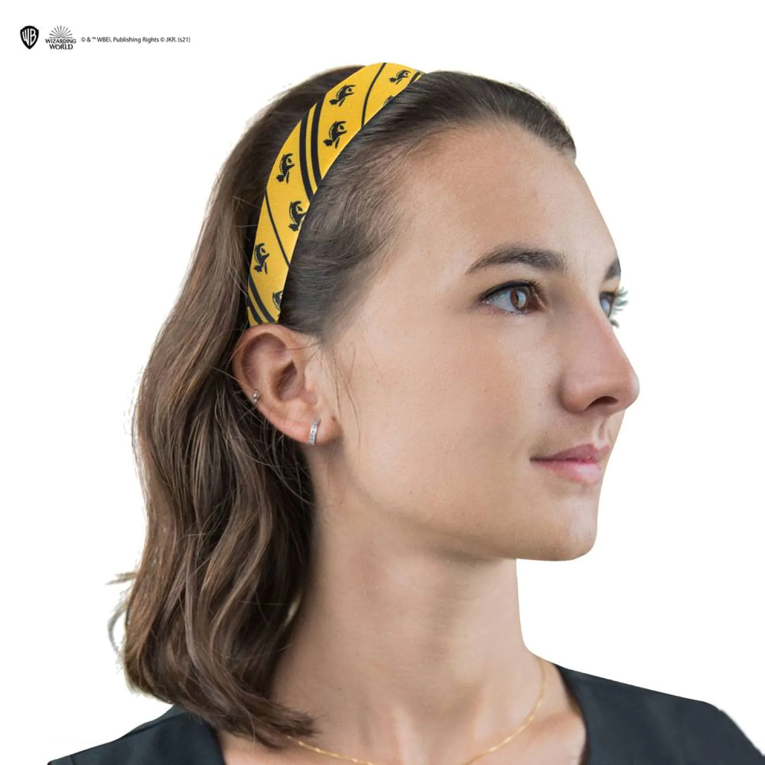 Harry Potter Classic Hair Accessories 2 Set Hufflepuff product photo