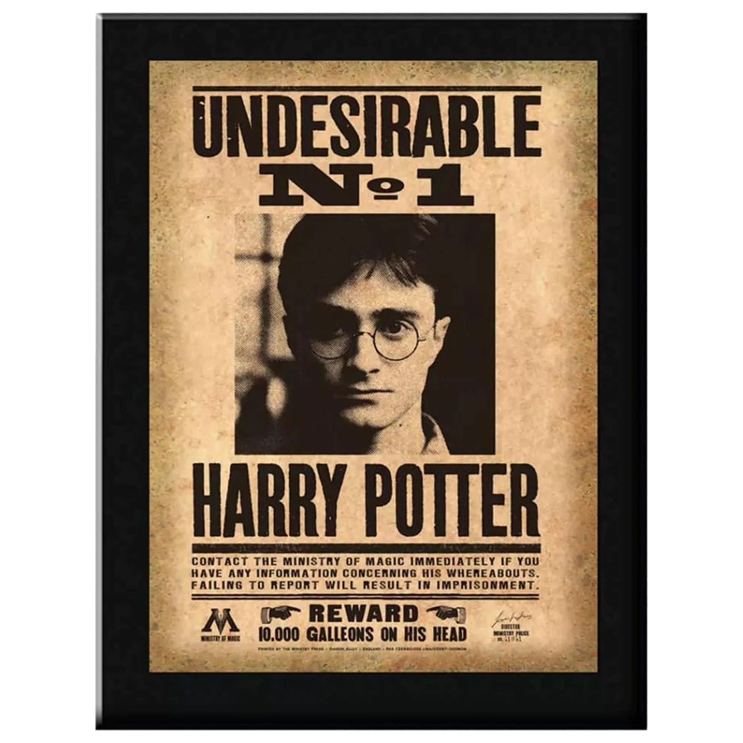 Harry Potter Indesirable N°1 Wall Plaque product photo