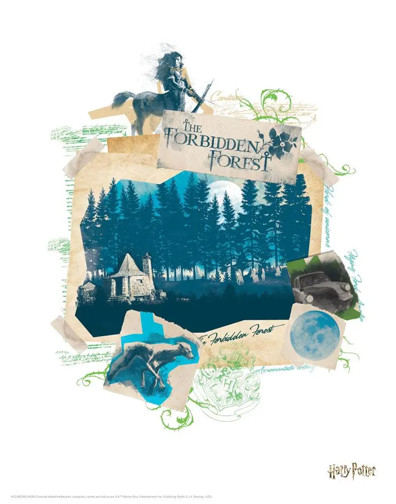 Harry Potter Lithograph 10-Set 36 x 28 cm product photo