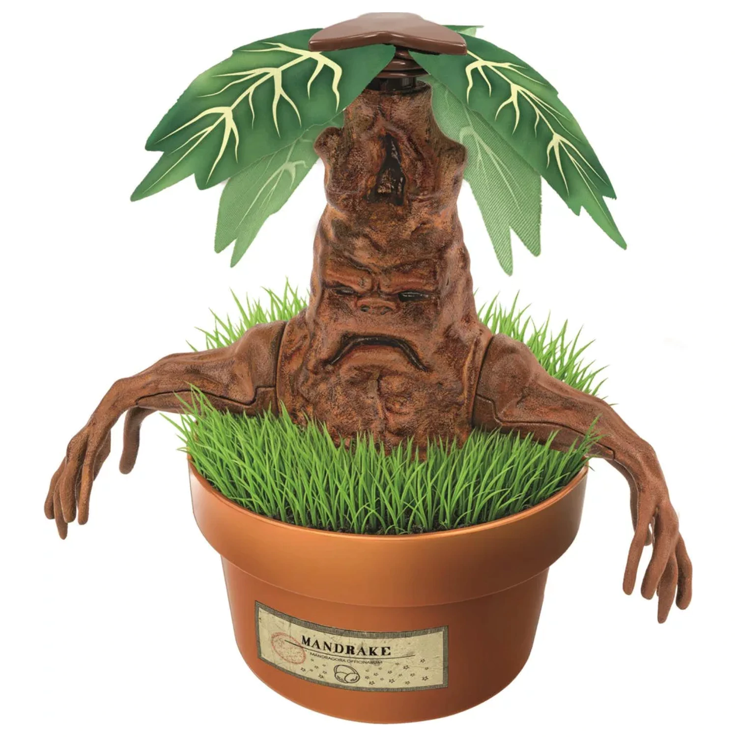 Harry Potter Mandrake Model Making Kit product photo