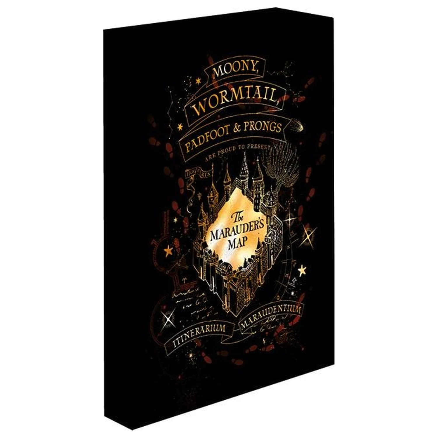 Harry Potter Marauders Map Light Canvas 40X30 cm product photo