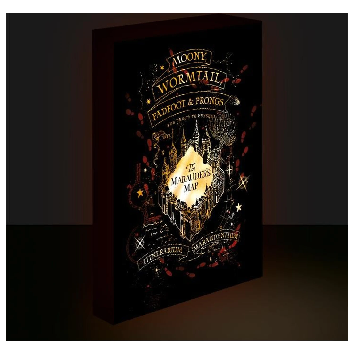 Harry Potter Marauders Map Light Canvas 40X30 cm product photo