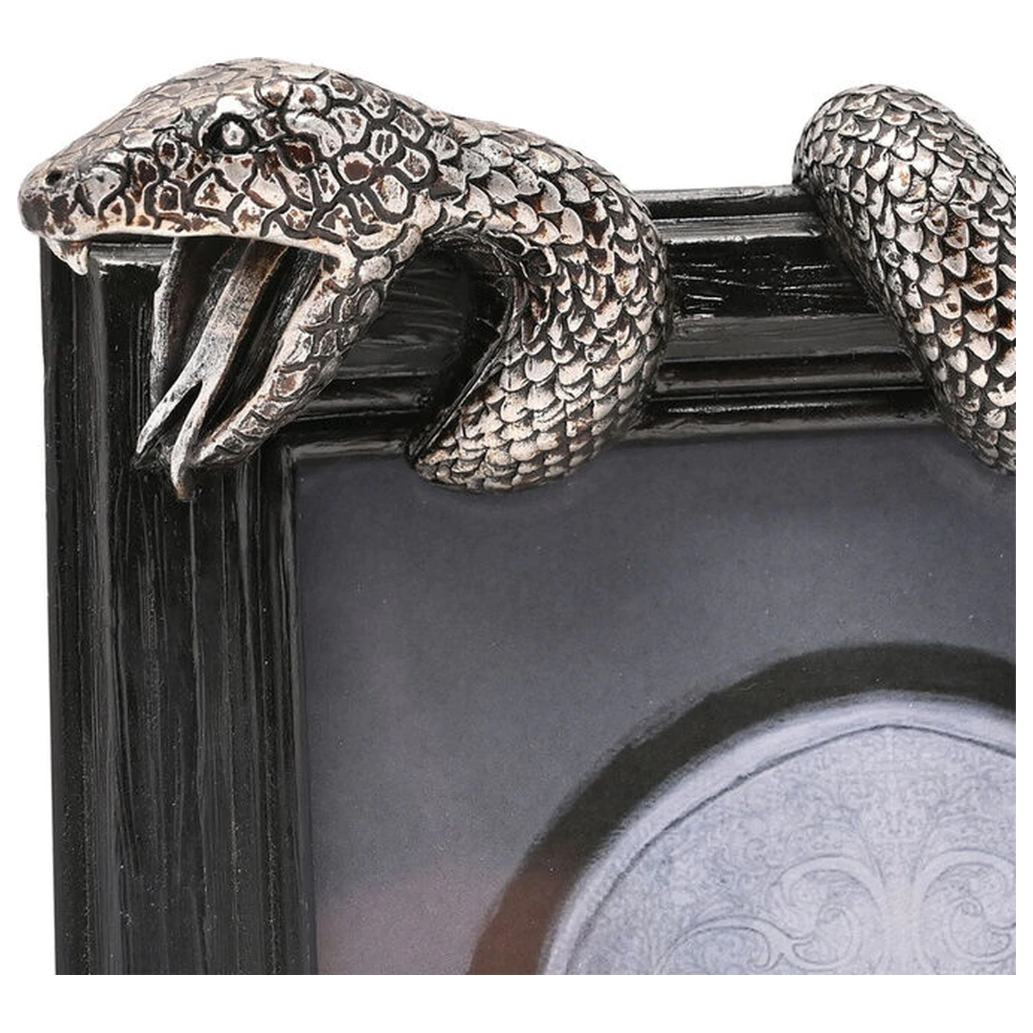 Harry Potter Nagini photo frame product photo