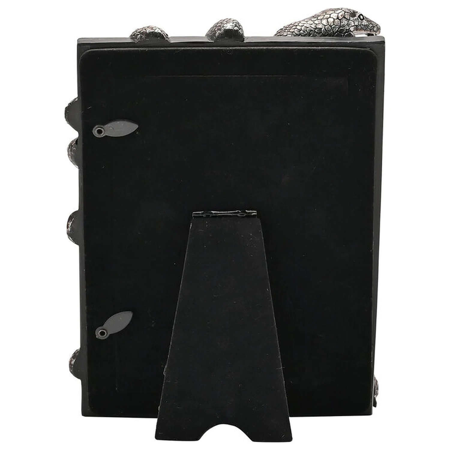 Harry Potter Nagini photo frame product photo