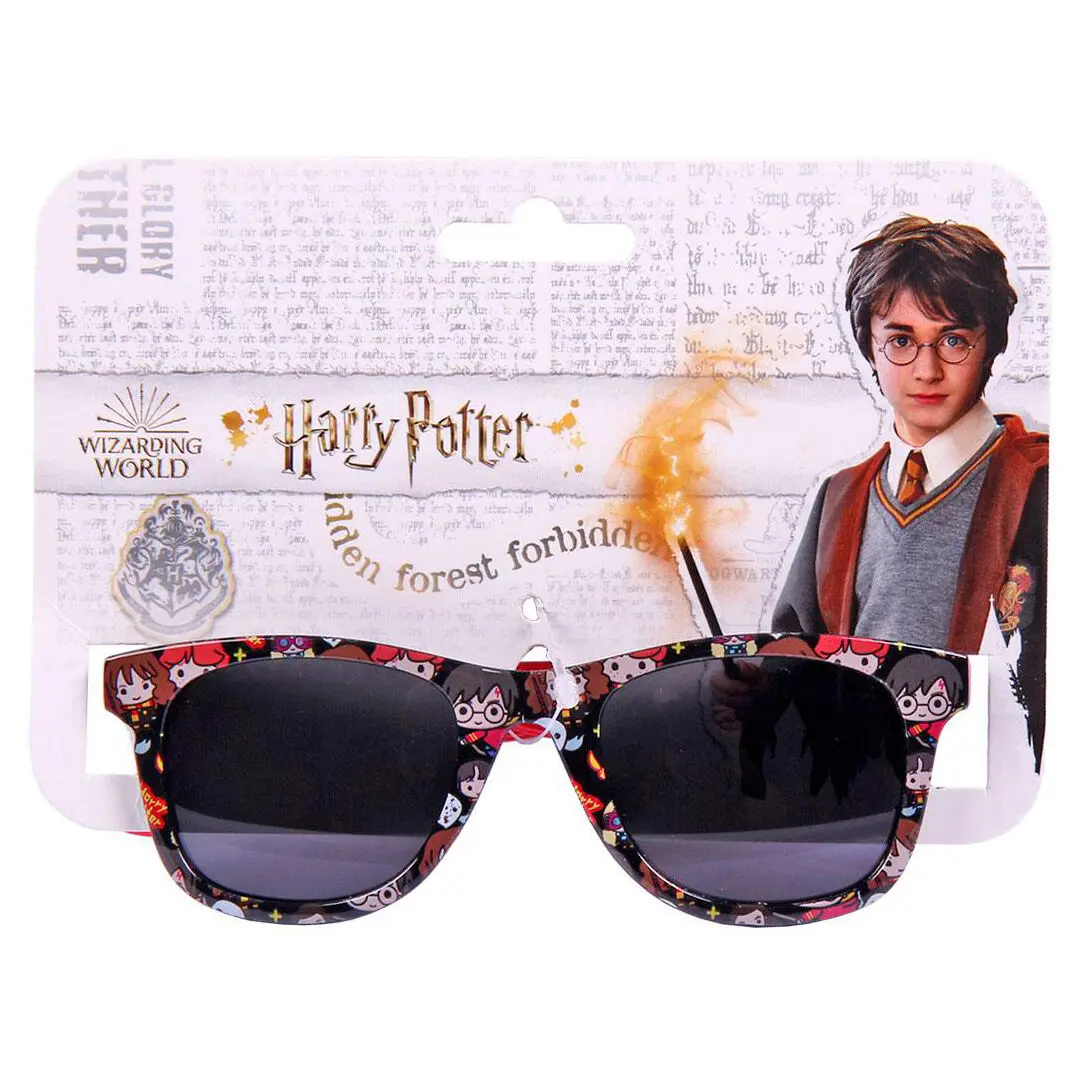 Harry Potter sunglasses termékfotó