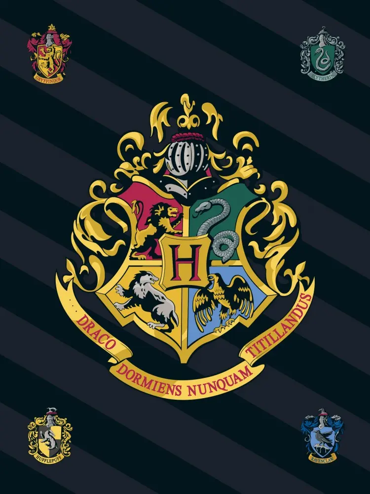 Harry Potter Fleece Blanket 100*140cm product photo
