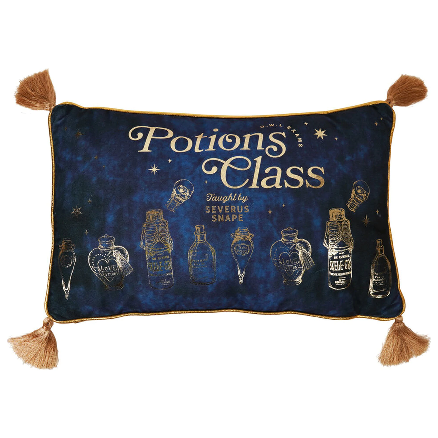 Harry Potter Potions Class velvet cushion product photo