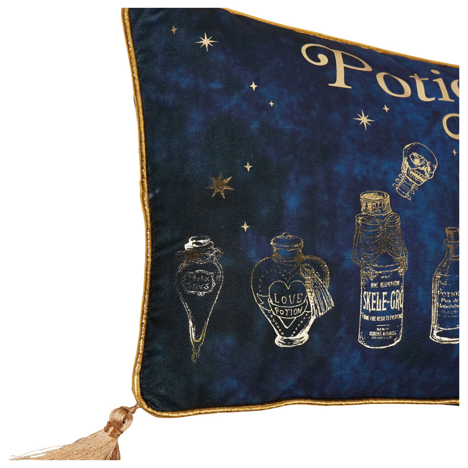 Harry Potter Potions Class velvet cushion product photo